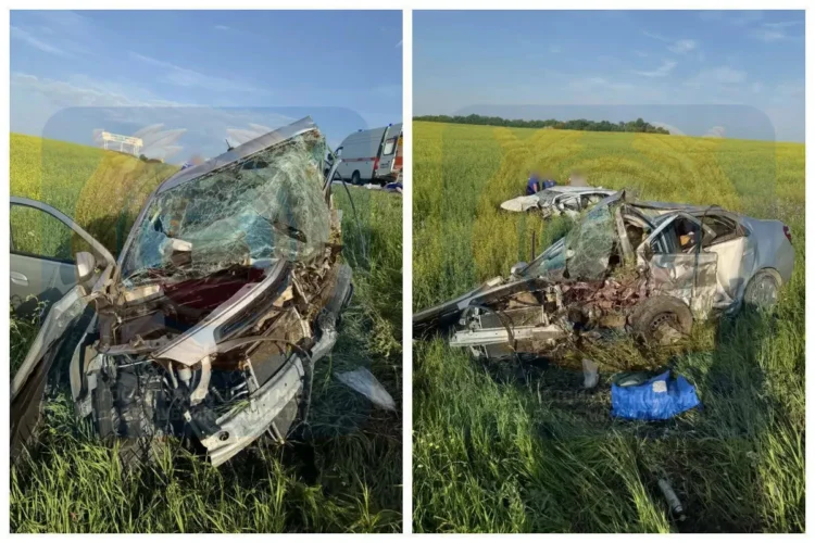 Фото: Госавтоинспекция