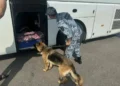 В Лениногорске выявили 11 нарушителей миграционного законодательства