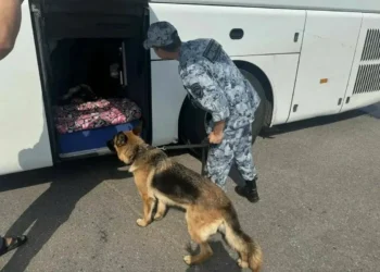 В Лениногорске выявили 11 нарушителей миграционного законодательства