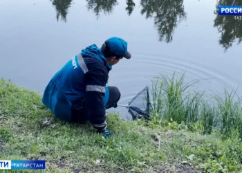 Экологи объяснили массовую гибель рыбы на каскаде прудов в Альметьевске