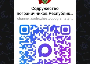 Теперь в открытом доступе: канал Содружества пограничников в MAX