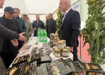 Рустам Минниханов оценил ход уборочных работ в Тетюшском районе