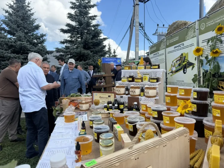 Фото: пресс-служба Раиса РТ