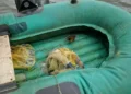 В Татарстане со дна Камы достали тело пожилого рыбака