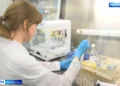 Случаи заражения мышиной лихорадкой в Татарстане участились