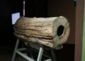 Фрагмент деревянного водопровода XIX века передали в Нацмузей Татарстана