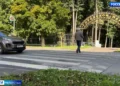 «Народный инспектор» — приложение, куда татарстанцы отправляют фото или видео нарушителей, за бдительность — получают деньги