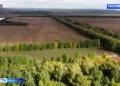 В Татарстане на сохранение лесов направили более 160 млн рублей