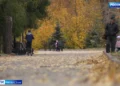 В Татарстане на выходных ожидается потепление до +20 градусов