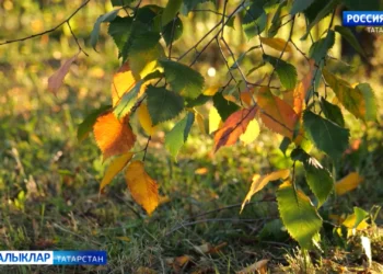 3нче сентябьрдә  бераз  яңгыр  фаразлана