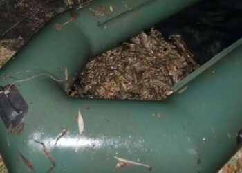 В Нурлатском районе Татарстана задержали двух браконьеров с 207 раками