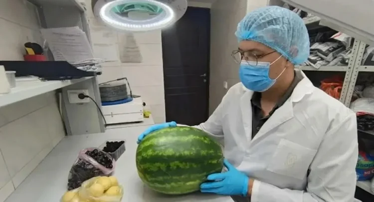 Фото: филиал Федерального центра оценки безопасности и качества продукции агропромышленного комплекса в РТ