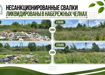 В Челнах ликвидировали две несанкционированные свалки
