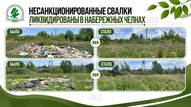 Фото: eco.tatarstan.ru