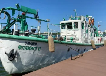 В Татарстане проведут научную экспедицию на Куйбышевском водохранилище