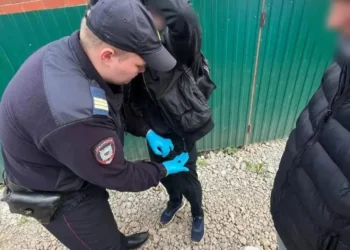 В Нижнекамском районе задержали подозреваемого в хранении наркотиков